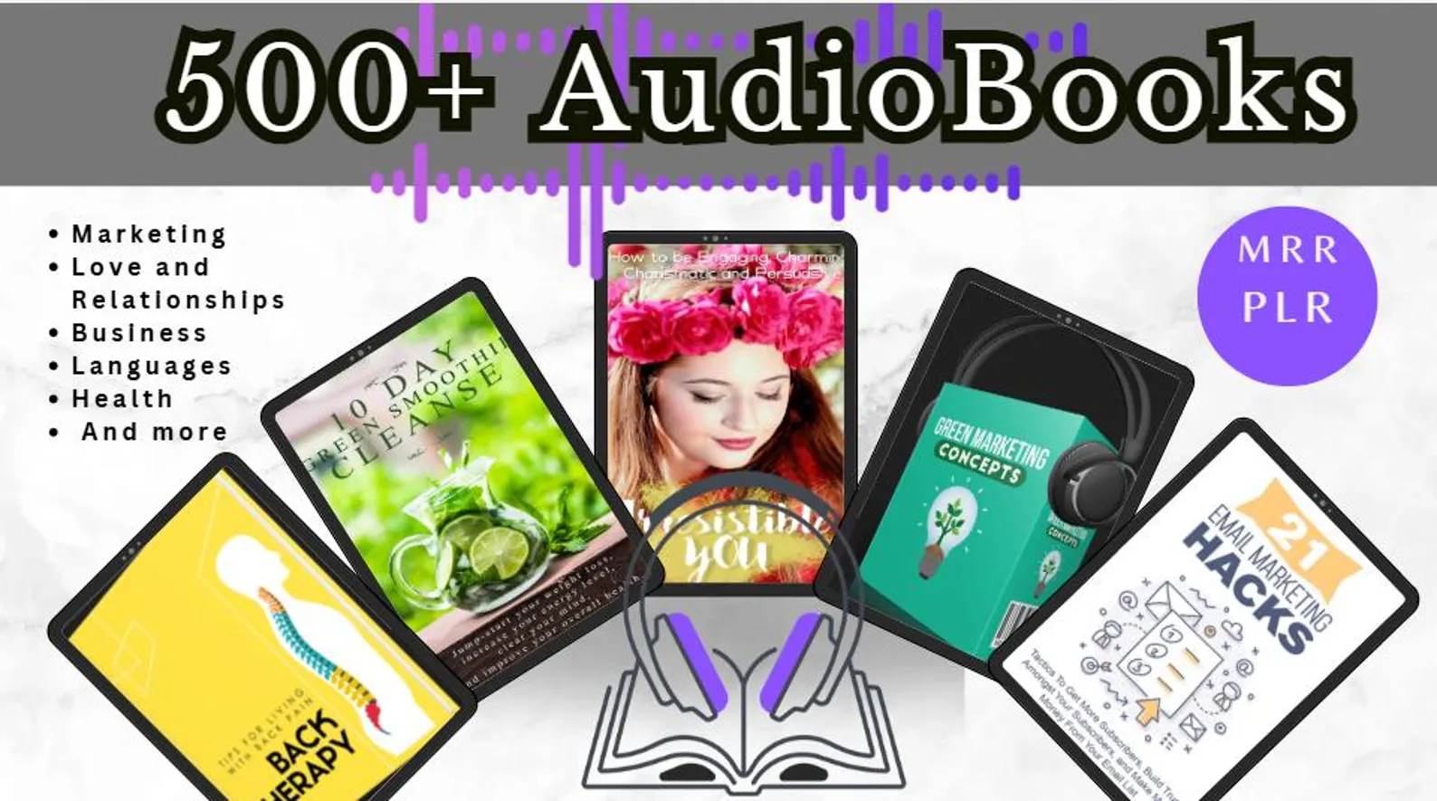 500+ Audio Books Bundle